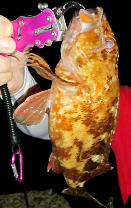 何か釣れるといいなぁって感じで4種目